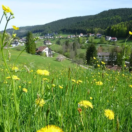 Schwarzwald-ferienwohnungen Begert דירה *