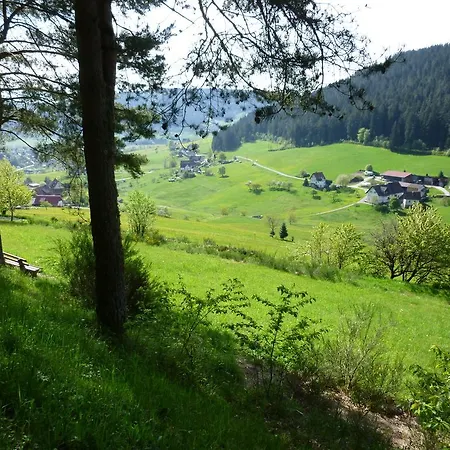 Schwarzwald-ferienwohnungen Begert Apartment Baiersbronn