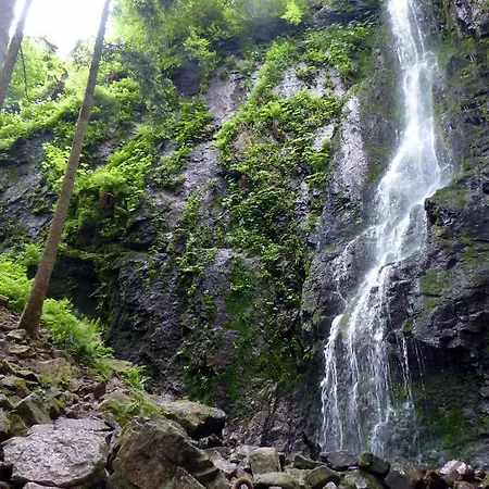 Schwarzwald-ferienwohnungen Begert * באיירסברון