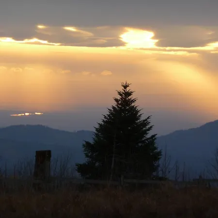 Schwarzwald-ferienwohnungen Begert