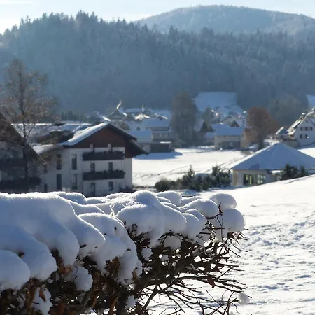 Apartment Schwarzwald-ferienwohnungen Begert *