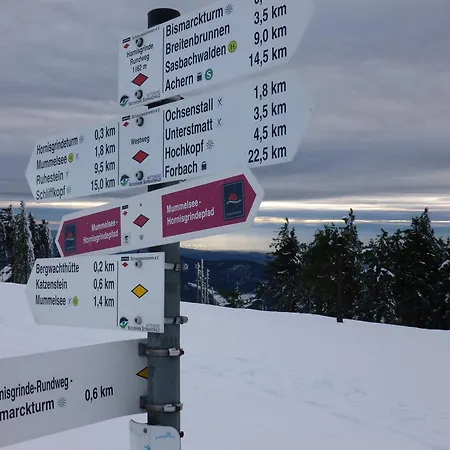 Apartment Schwarzwald-ferienwohnungen Begert