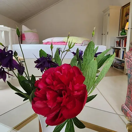 Apartment Schwarzwald-ferienwohnungen Begert *