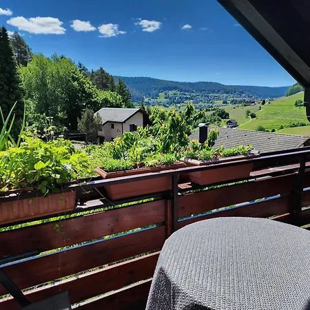 Apartment Schwarzwald-ferienwohnungen Begert *