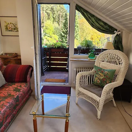 Schwarzwald-ferienwohnungen Begert Διαμέρισμα Baiersbronn