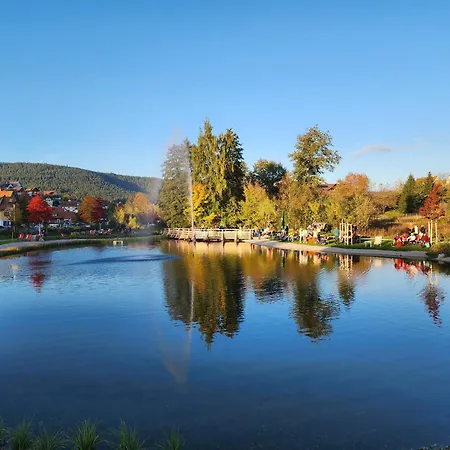 Schwarzwald-ferienwohnungen Begert * באיירסברון