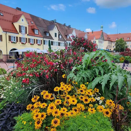 Schwarzwald-ferienwohnungen Begert Διαμέρισμα *