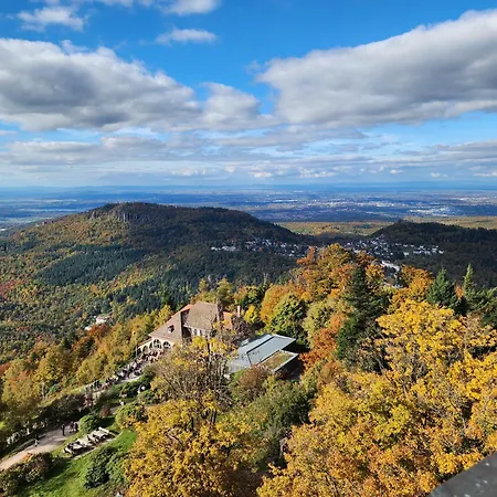 Διαμέρισμα Schwarzwald-ferienwohnungen Begert *
