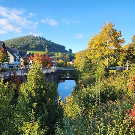 Schwarzwald-ferienwohnungen Begert *