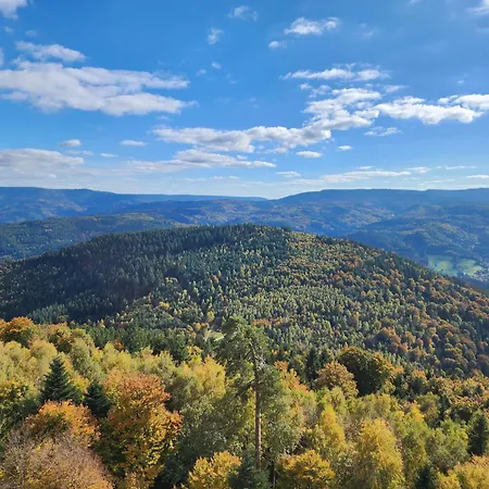 Schwarzwald-ferienwohnungen Begert