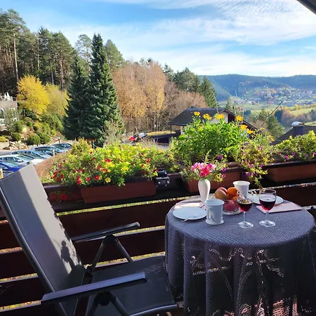 Schwarzwald-ferienwohnungen Begert 아파트 *