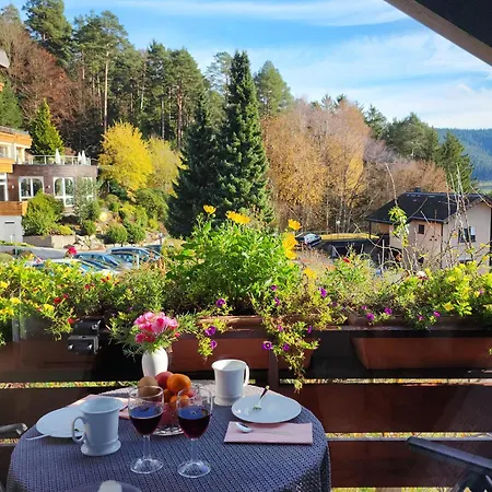 Schwarzwald-ferienwohnungen Begert *