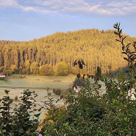 Schwarzwald-ferienwohnungen Begert דירה *