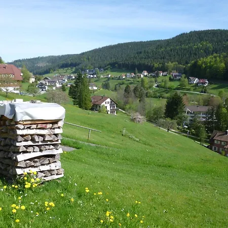 Schwarzwald-ferienwohnungen Begert * Baiersbronn
