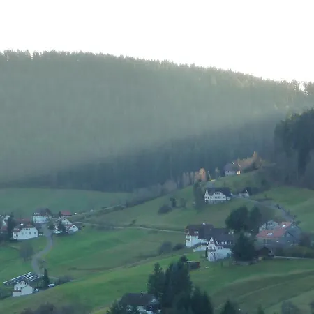 Apartment Schwarzwald-ferienwohnungen Begert *