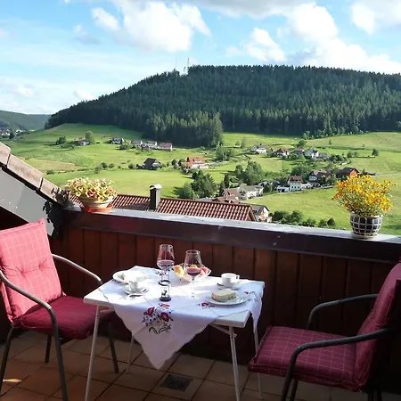 Schwarzwald-ferienwohnungen Begert Apartment Baiersbronn