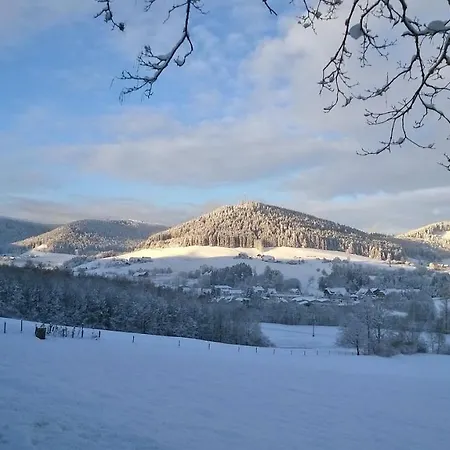 Apartment Schwarzwald-ferienwohnungen Begert