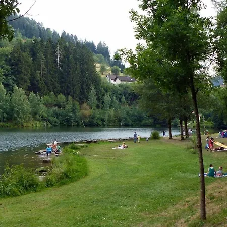 Apartment Schwarzwald-ferienwohnungen Begert
